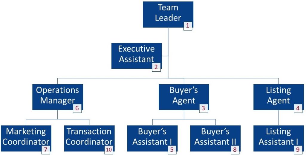 real estate agent operations plan - org chart